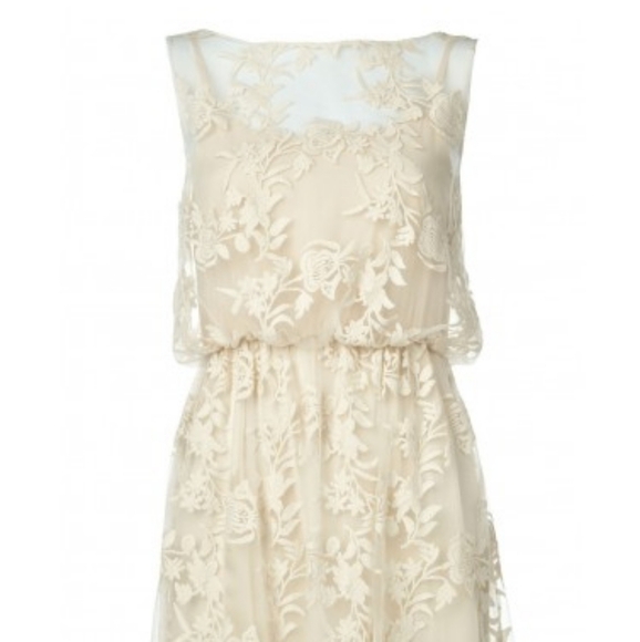 2X HP. ALICE And Olivia Darcy Lace Layover Dress - Picture 4 of 13